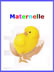 maternelle tout le programme