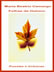 livro de maria beatriz sandoval camargo