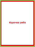 audio book